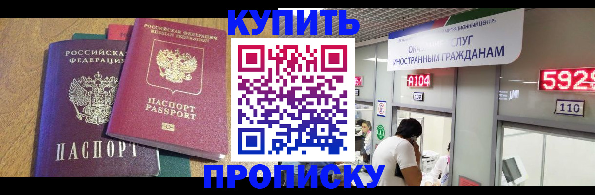 прописка в квартире в Звенигово